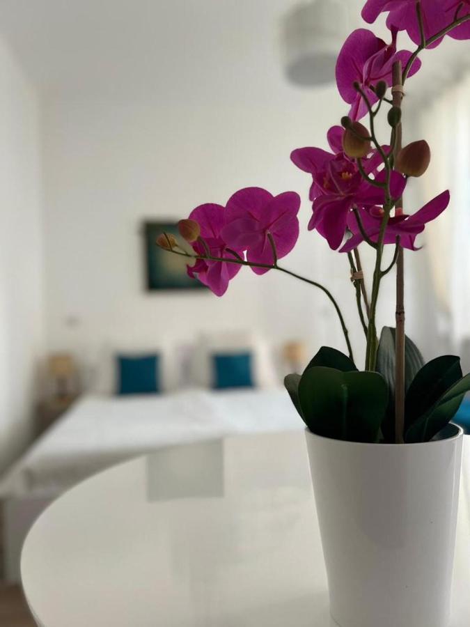 Fior Di Loto Suite - Antonelli ตูริน ภายนอก รูปภาพ